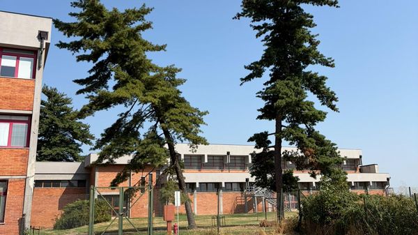 Alberi pericolanti, chiude il centro sportivo a Melegnano