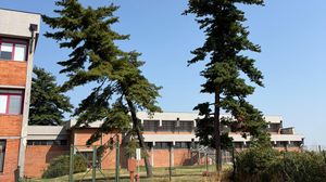 Alberi pericolanti, chiude il centro sportivo a Melegnano