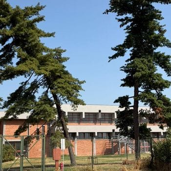 Alberi pericolanti, chiude il centro sportivo a Melegnano