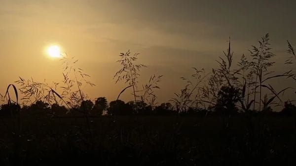 L'eclissi vista da Mairago