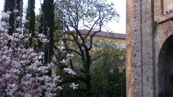 Lodi: «In 12 anni hanno eliminato il verde che impreziosiva Porta Regale»