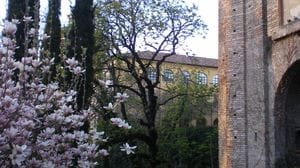 Lodi: «In 12 anni hanno eliminato il verde che impreziosiva Porta Regale»