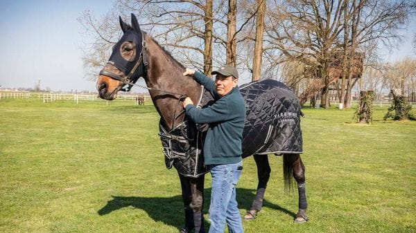 Addio a Varenne, il re dei cavalli che era di casa nel Lodigiano