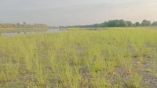 La crisi idrica del Po: il “grande fiume” si sta prosciugando. Resistono a fatica i pellegrini della Francigena