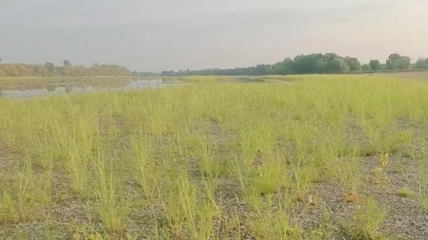 La grande agonia del Po nel video di Pierluigi Cappelletti