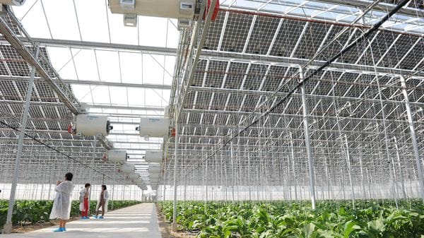 «La sfida dell’energia solare passa anche dai campi»