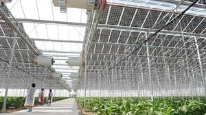 «La sfida dell’energia solare passa anche dai campi»