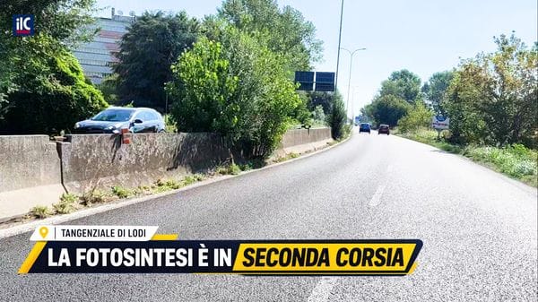 Tangenziale di Lodi, la fotosintesi è in seconda corsia