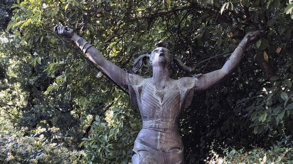 La bambina che salta tra gli alberi