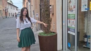 La denuncia di Avs: «Barriere davanti alla farmacia comunale di Sesto Ulteriano»
