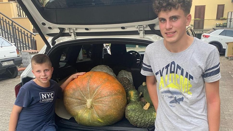 Semi strani e telefoni spenti: ecco come è nata la zucca gigante di Riccardo e Federico