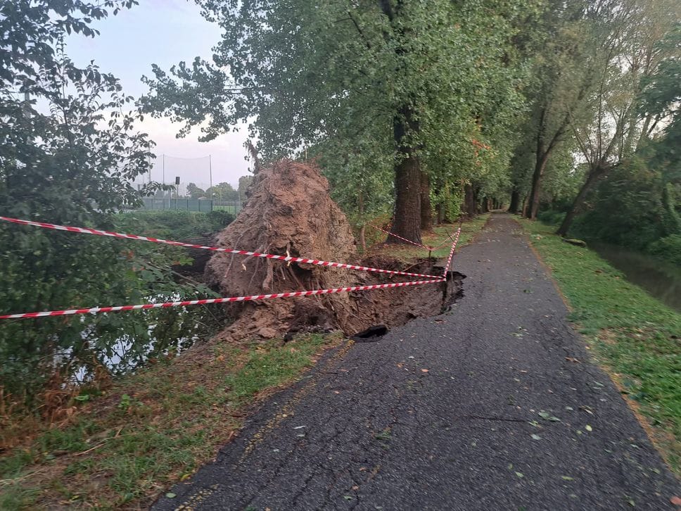 Dopo il temporale di venerdì il comune di Tavazzano chiude i parchi e un parcheggio