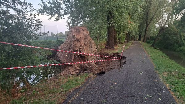Dopo il temporale di venerdì il comune di Tavazzano chiude i parchi e un parcheggio