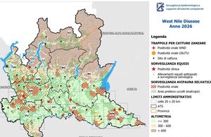 Già 9 casi di West Nile nel Lodigiano e otto morti in Lombardia nel 2026
