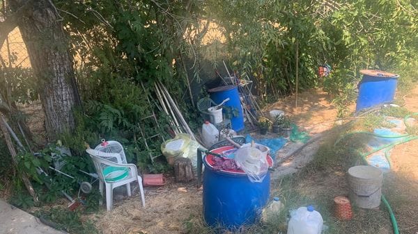 Orti abusivi e fuochi nel week-end: FdI scrive a Comune e polizia locale