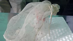 West Nile, già due casi nel Lodigiano nel primo bollettino