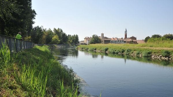 Canale Muzza, portata giù del 20 per cento