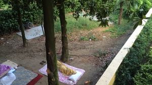 La truffa sui richiedenti asilo a Lodi: lo Stato presenta il conto a dieci persone