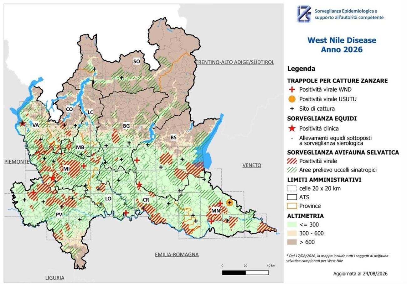 Nel Lodigiano già 9 casi di febbre del Nilo da inizio anno, e il Milanese è l’area più colpita