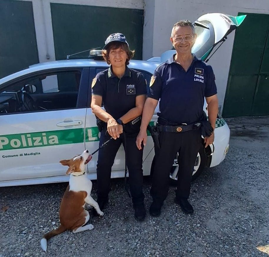 La polizia locale di Mediglia salva una cagnolina