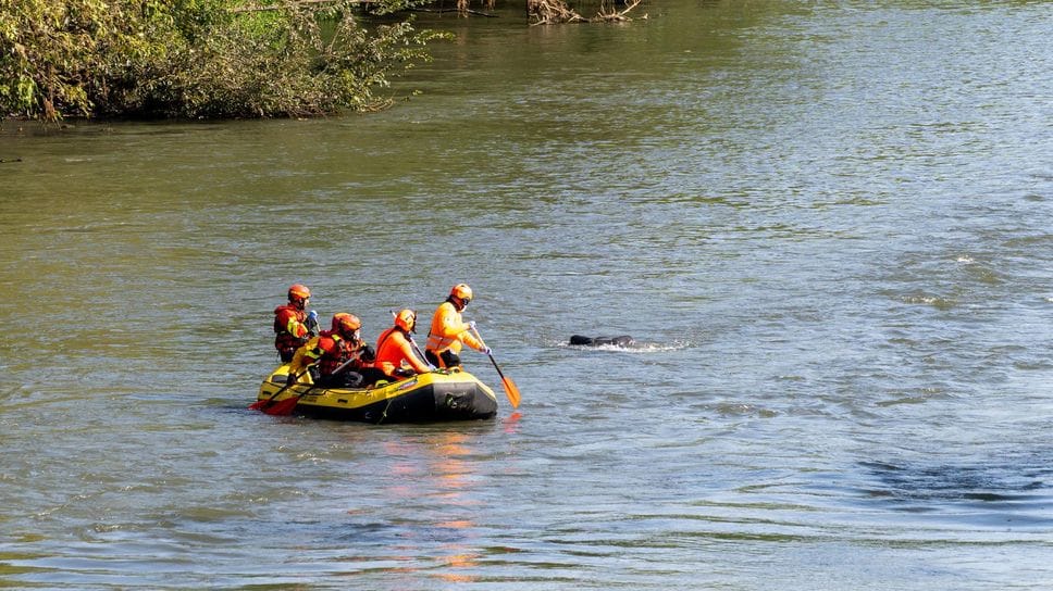 È una trentenne del Marocco la donna trovata senza vita nel Lambro