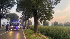 Scende dall’auto dopo lo schianto e viene investito