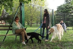 Nuove aree cani in arrivo, ma anche oasi per i bimbi