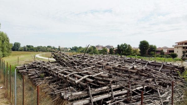 Unico colpevole e solo al 10% per la Cattedrale vegetale