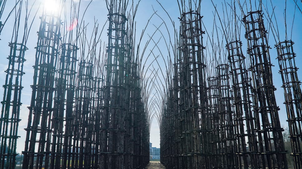 Cattedrale vegetale, il “colpevole” farà appello: «Progetto di altri, e poi l’opera si poteva salvare»