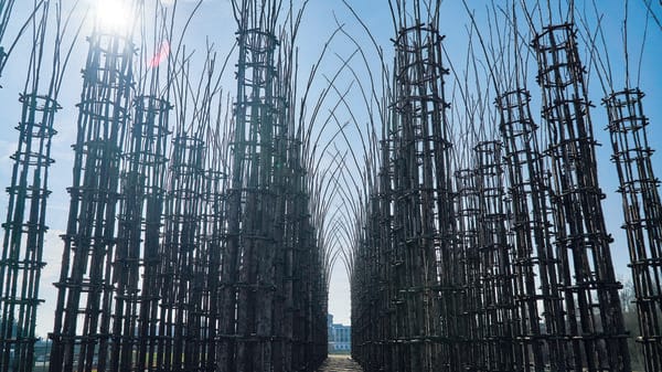 Cattedrale vegetale, il “colpevole” farà appello: «Progetto di altri, e poi l’opera si poteva salvare»