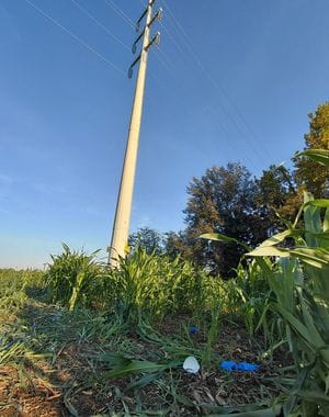 «Una ragazzata finita in tragedia» Ma si vuole ricostruire ogni aspetto