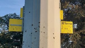 Lodi: il 15enne folgorato sul traliccio, due telecamere potrebbero dare risposte