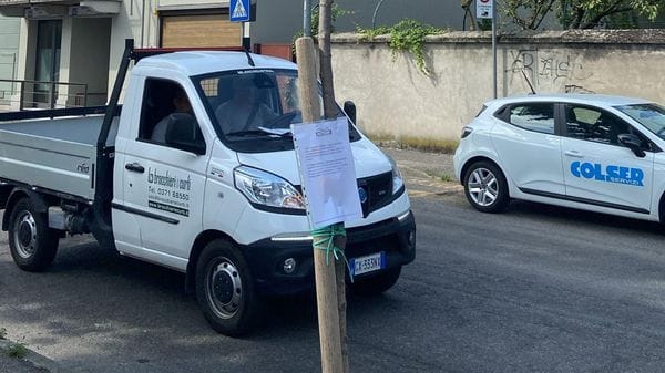 Canicola e incuria, è strage di alberi a Lodi: in programma tagli e abbattimenti
