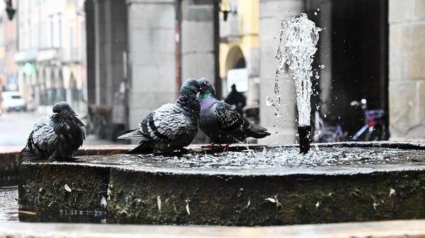 Restyling all’ex fonte battesimale di piazza Broletto a Lodi con pulizia e nuovi rivestimenti