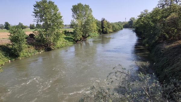 ULTIM’ORA Tragedia a Borghetto, cadavere affiora dalle acque del Lambro