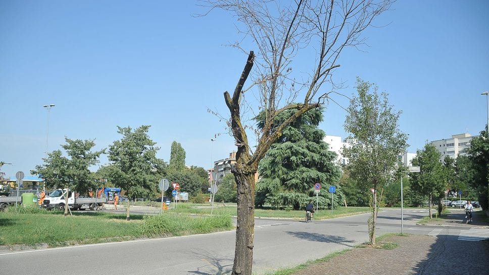 LODI - ALBAROLA «Abbandono del verde pubblico, è necessaria maggior manutenzione»