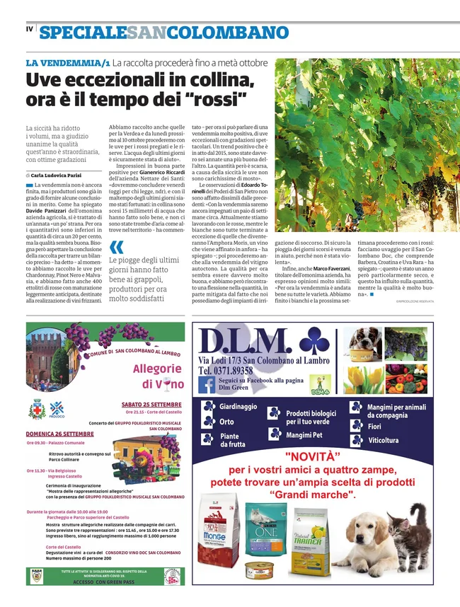 Pagina 4