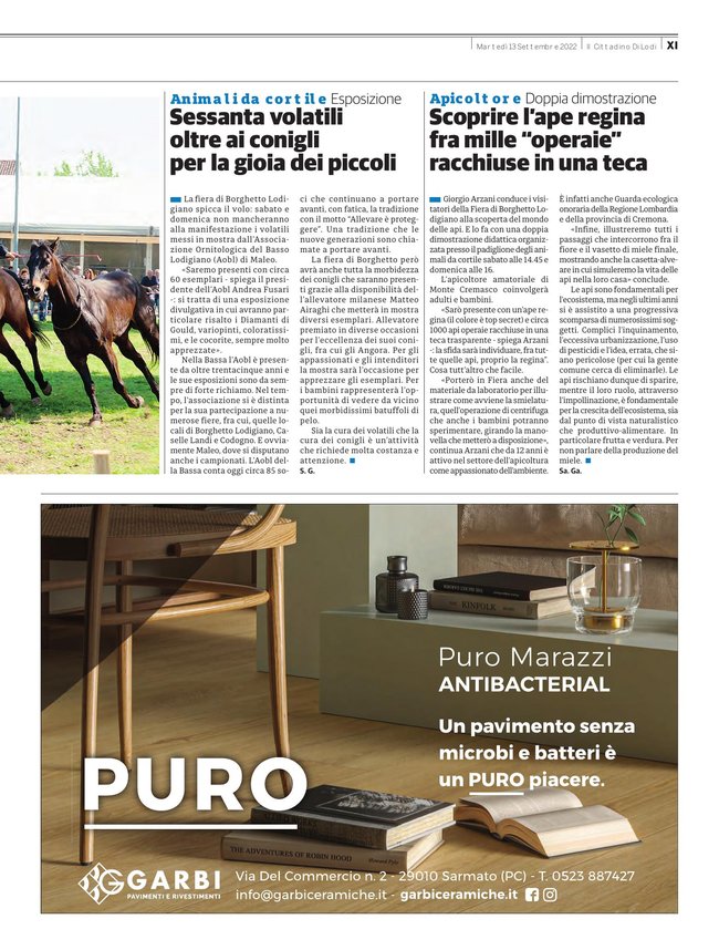 Pagina 11