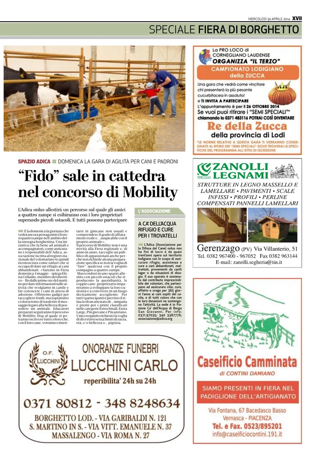 Pagina 17