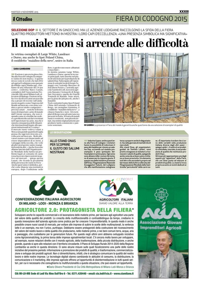 Pagina 33