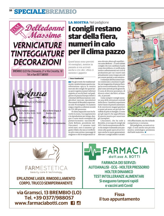 Pagina 2
