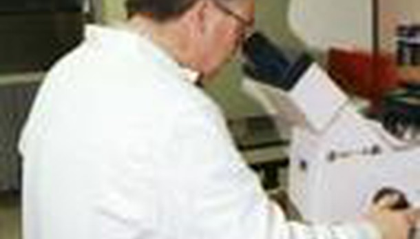 Midollo osseo, 2750 donatori