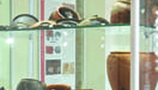 Per il Museo non si è proprio potuto trovare un “gestore” nel Lodigiano?