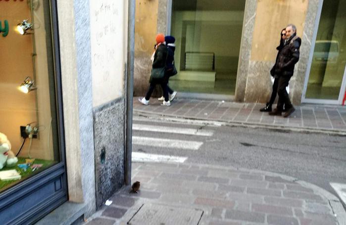 I tipo non sono passati inosservati