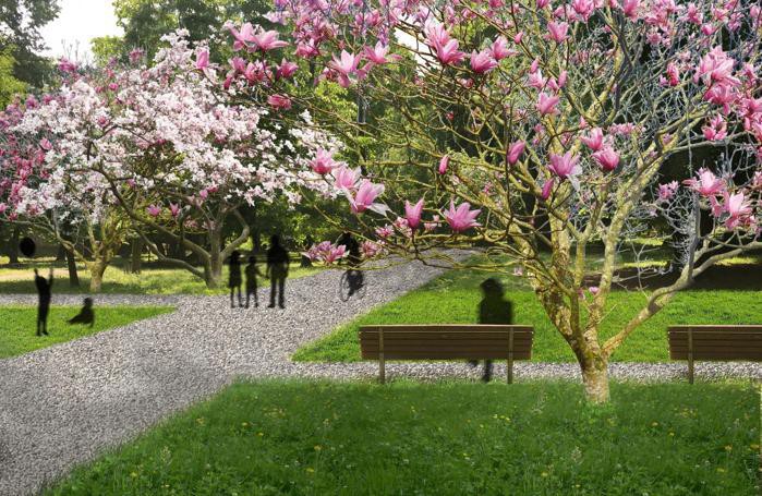 Un altro rendering del parco di Lodi