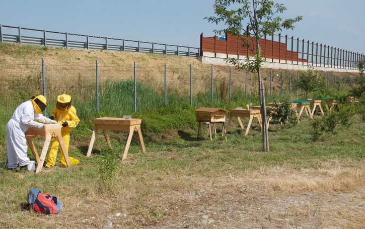 A Comazzo nasce la “Città delle api”