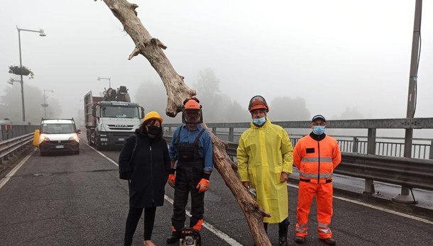 Iniziata stamattina la pulizia delle arcate del ponte di Lodi