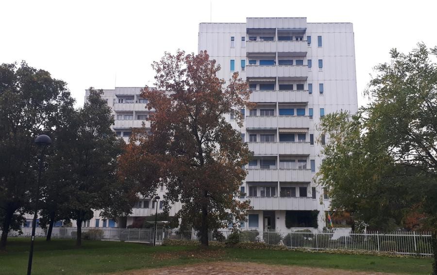 LODI Muore in casa a ventinove anni, lo trova la fidanzata al mattino
