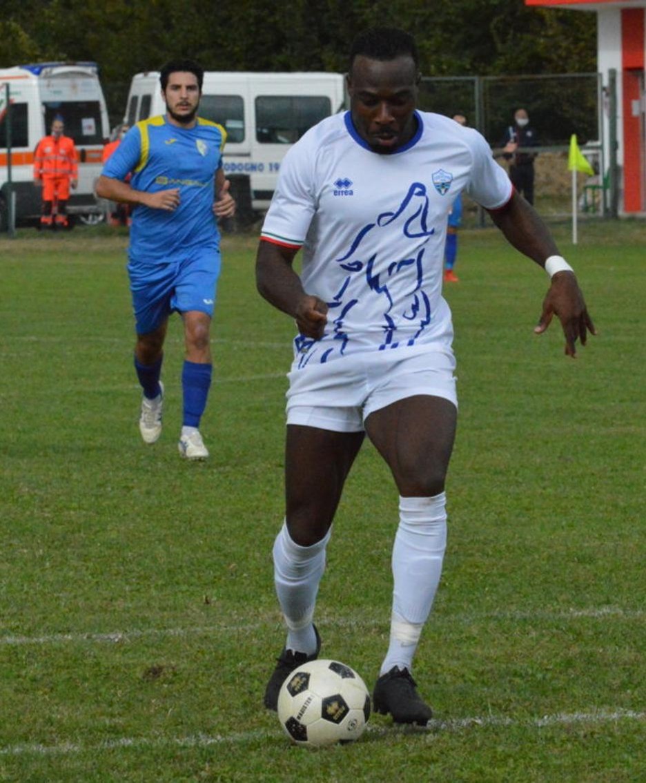 Zamble in campo