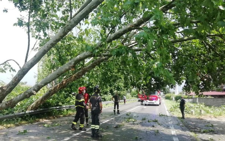 METEO Violento temporale sul Sudmilano, piante abbattute e allagamenti